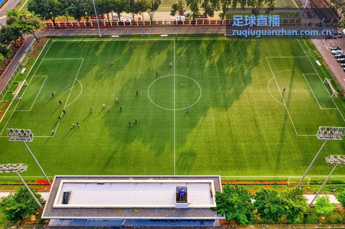 巴黎圣日耳曼球队卡片 - 足球直播观赛